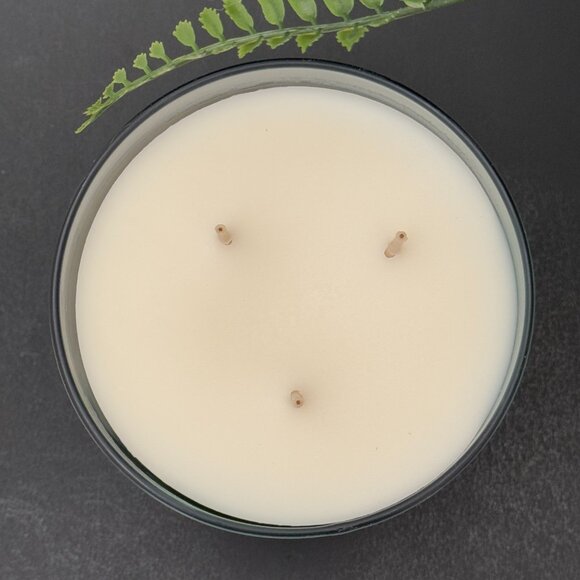 BBW Eucalyptus Rain White Barn Bath & Body Works 3 Wick Candle - Picture 7 of 10
